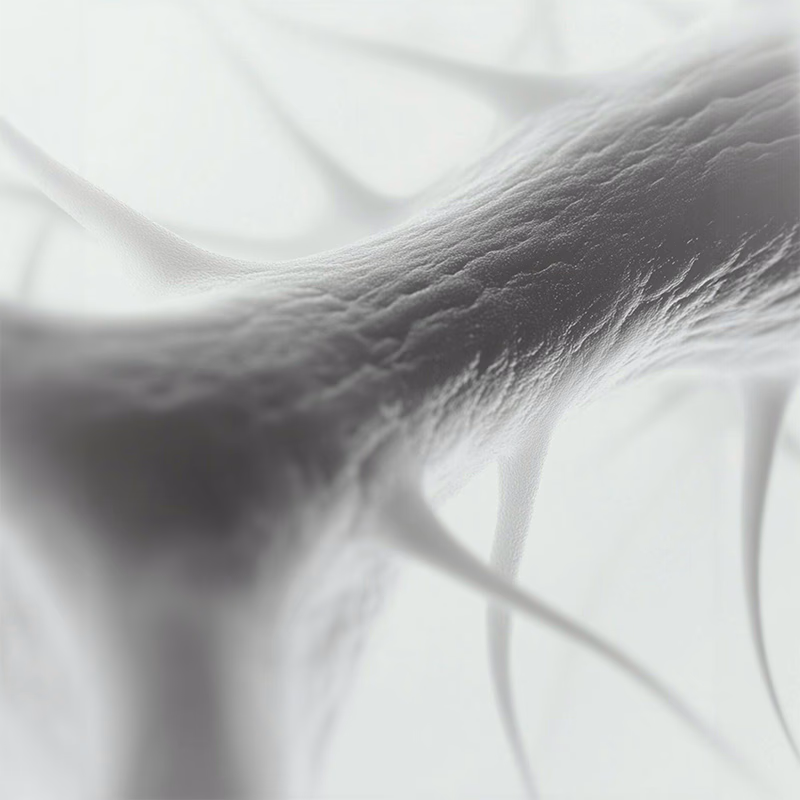 Case Study Image